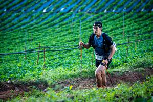 BIB: 908
                            <button type="button" onclick="openModal(19160060)" class="btn btn-primary btn-sm float-right btn-popup" data-toggle="modal" data-target=".modal-high-quality">
                        <i class="fas fa-shopping-cart"></i> Add to Cart
                    </button>
                                            <button type="button" onclick="isThisMe(19160060, true)" class="btn btn-success btn-sm float-right btn-popup btn-isme hidden" data-toggle="tooltip" data-placement="bottom" title="นี่คือรูปของคุณใช่ไหม คลิกที่นี่เพื่อเอาเข้าอัลบั้ม">
                        <i class="fas fa-plus"></i> Add to album
                    </button>
                    <button type="button" onclick="isThisMe(19160060, false)" class="btn btn-warning btn-sm float-right btn-popup btn-isnotme hidden">
                        <i class="fas fa-ban"></i> Remove from album
                    </button>